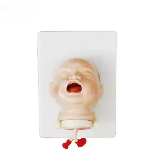 [b2-01-29-602] Entrenamiento de intubacion para recien nacidos