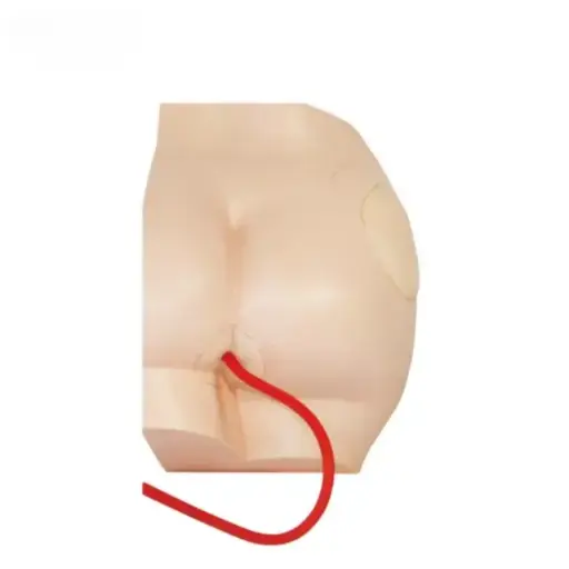 [b2-01-29-619] Seiinyeccion de gluteos