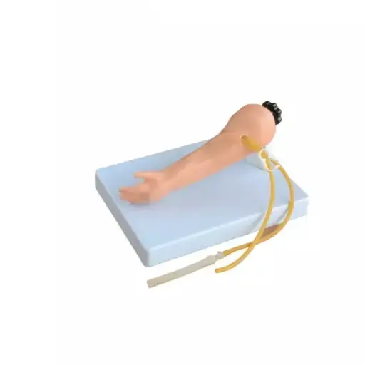 [b2-01-29-656] Brazo de venopuncion infantil avanzado