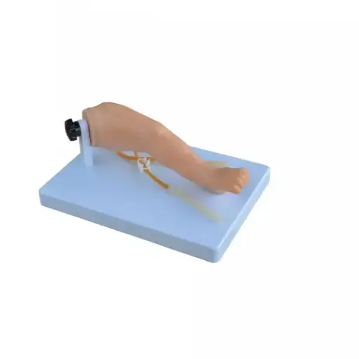 [b2-01-29-657] Pierna de puncion venosa infantil avanzada