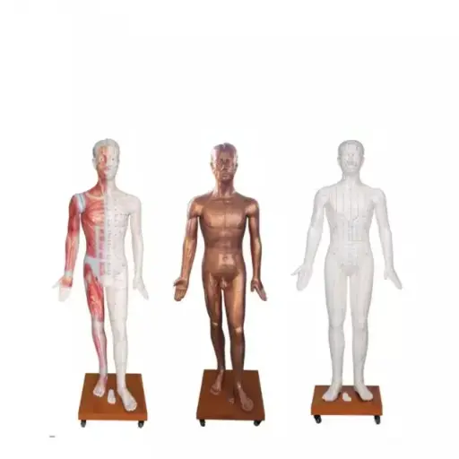 [b2-01-29-664] Acupuntura de lujo