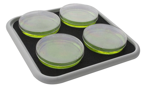 [BIO-PP-4] BIO-PP-4