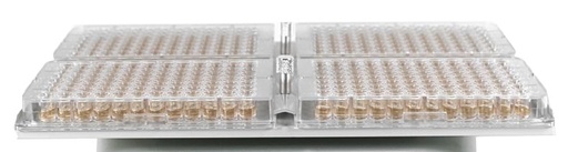 [MPP4] MPP4
