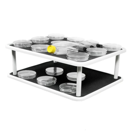 [PP-20-2] PP-20-2