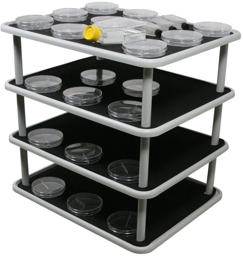 [PP-20-4] PP-20-4
