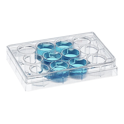 [CTN-BellTctCellCul-6WP] Caja master Placa cultivo celular 6 pocillos - 50 presentaciones