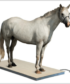 Rotativa Equus 1,50m de corte 