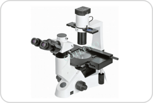 Microscopio Biologico Invertido I BellMicrosBioInv-I
