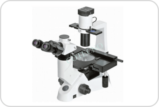 Microscopio Biologico Invertido I BellMicrosBioInv-I-1