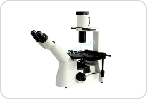 Microscopio Biologico Invertido II BellMBInv-II