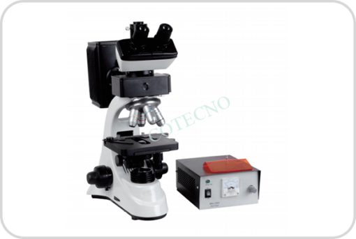 Microscopio Biologico de Fluorescencia