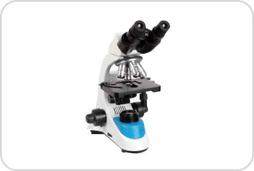 Microscopio biologico de laboratorio de la serie Bell208