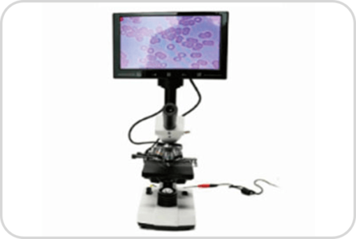 Microscopio de alta potencia BellMicAltPot-550