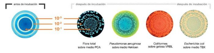 Modo Circulo