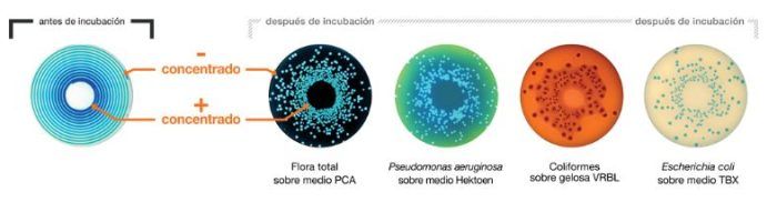 Modo exponencial 1