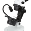 Microscopio NexiusZoom para Gemología 1 NZ.1902 GEML 2 1