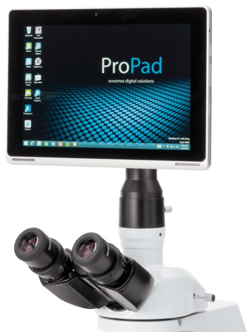 PROPAD 1 es