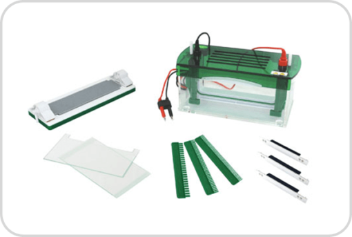 Tanque de electroforesis vertical BellTanqElecVert-2