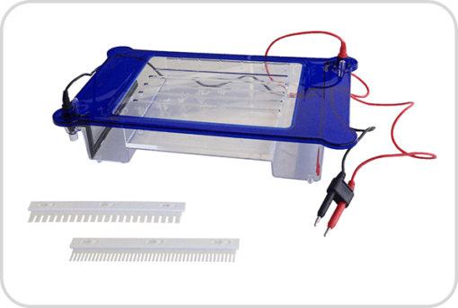 Tanque horizontal de electroforesis BellTanqElecHor 3 BellTanqElecHor-3