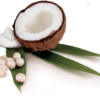 anabaccoconut