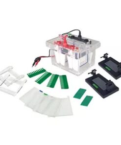 Minicélula de electroforesis FSF-SCZ4+