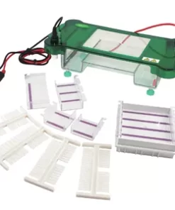 Electroforesis horizontal FSF-SPDT