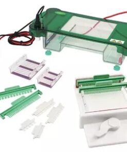 Célula de electroforesis horizontal FSF-SPFT