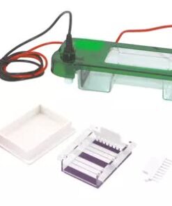 Minicélula de electroforesis vertical FSF-SCZ2+